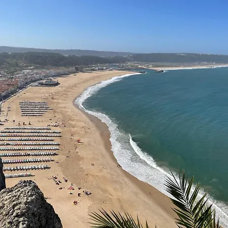 Apartamento Peixinho Magnifique *