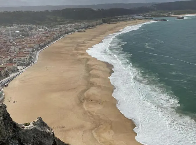 Peixinho Magnifique *